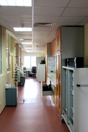 2025-08-29 Трансплантационно-Дървеница-01