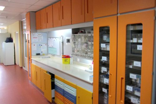 2025-08-29 Трансплантационно-Дървеница-02