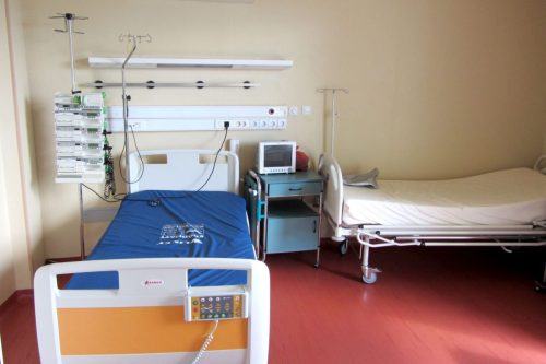 2025-08-29 Трансплантационно-Дървеница-03